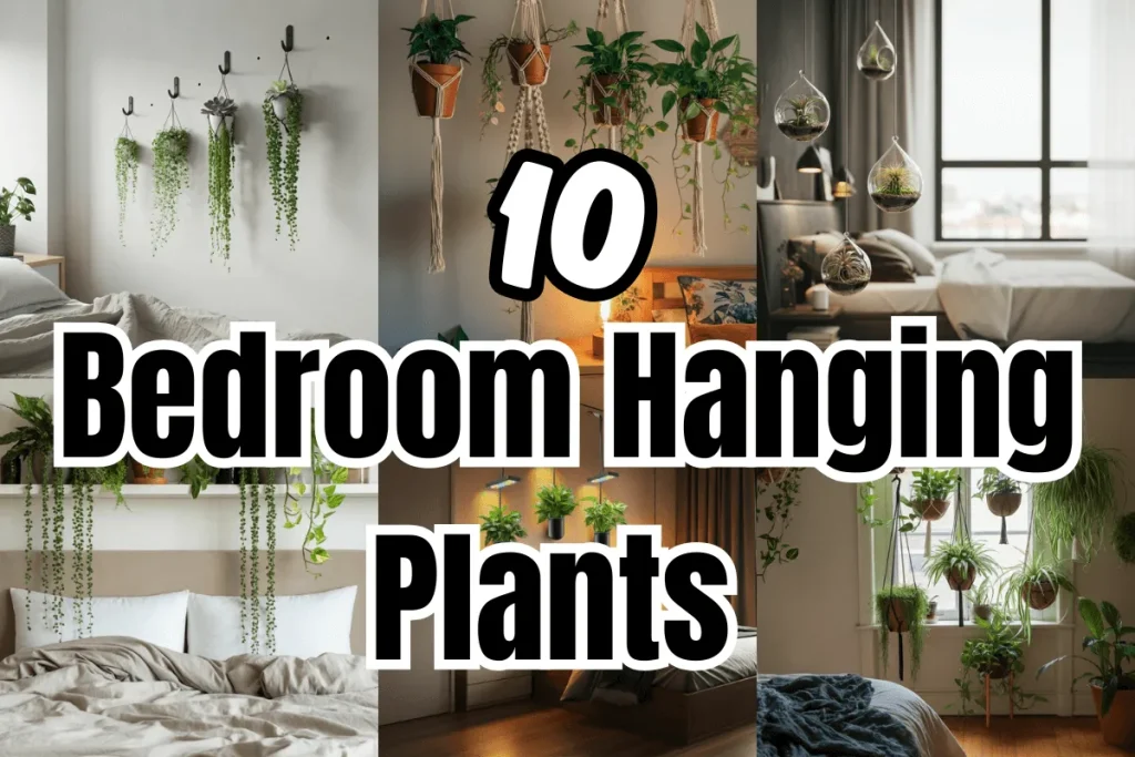 Create a Cozy Jungle Vibe with Bedroom Hanging Plants 14 Bedroom Hanging Plants