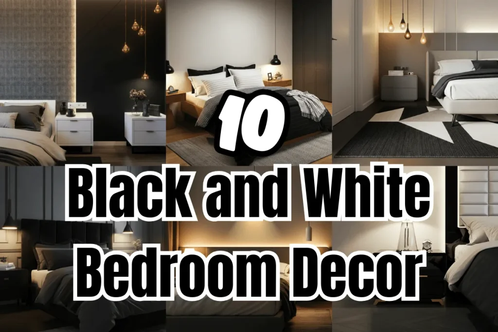 Black and White Bedroom Decors