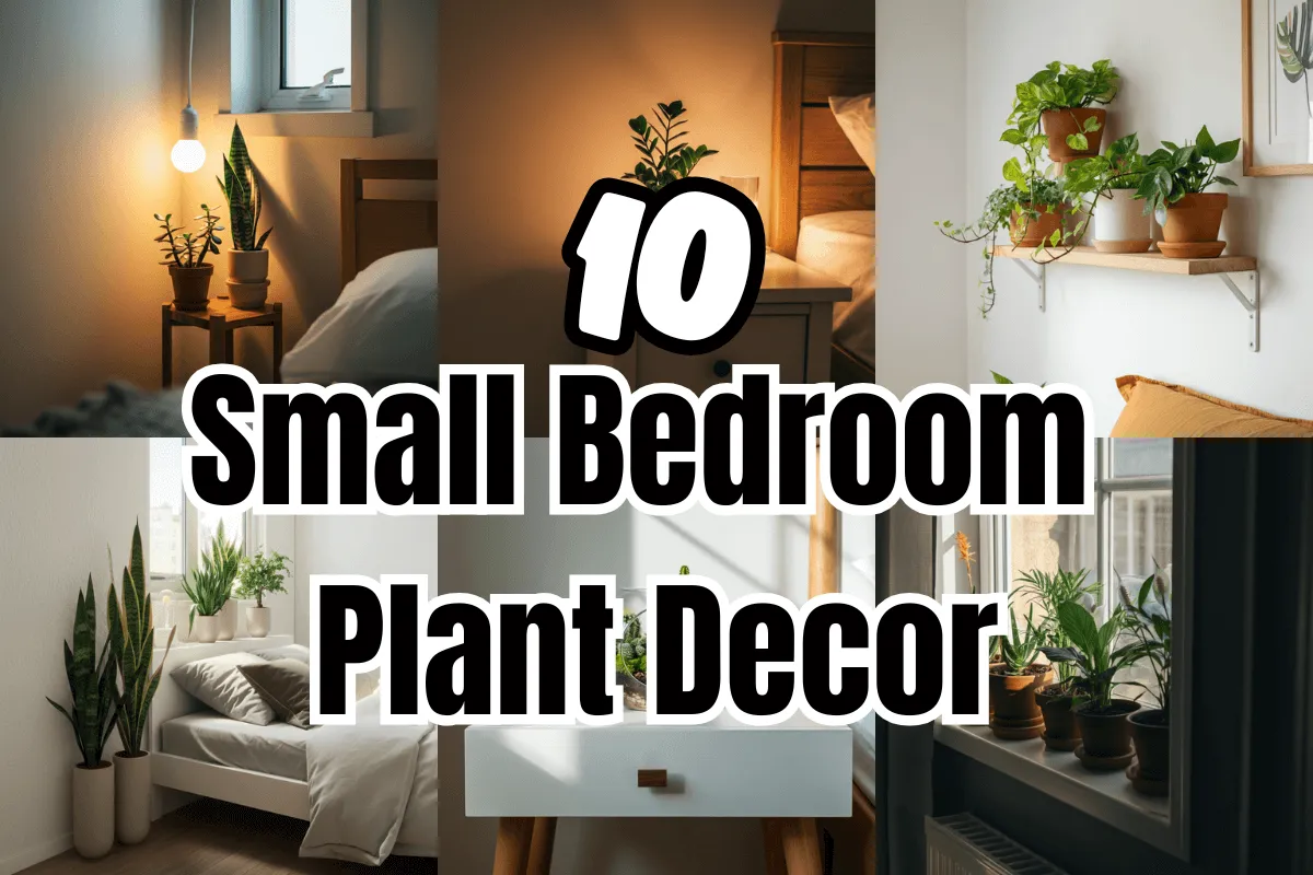 Small Bedroom Plant Decor